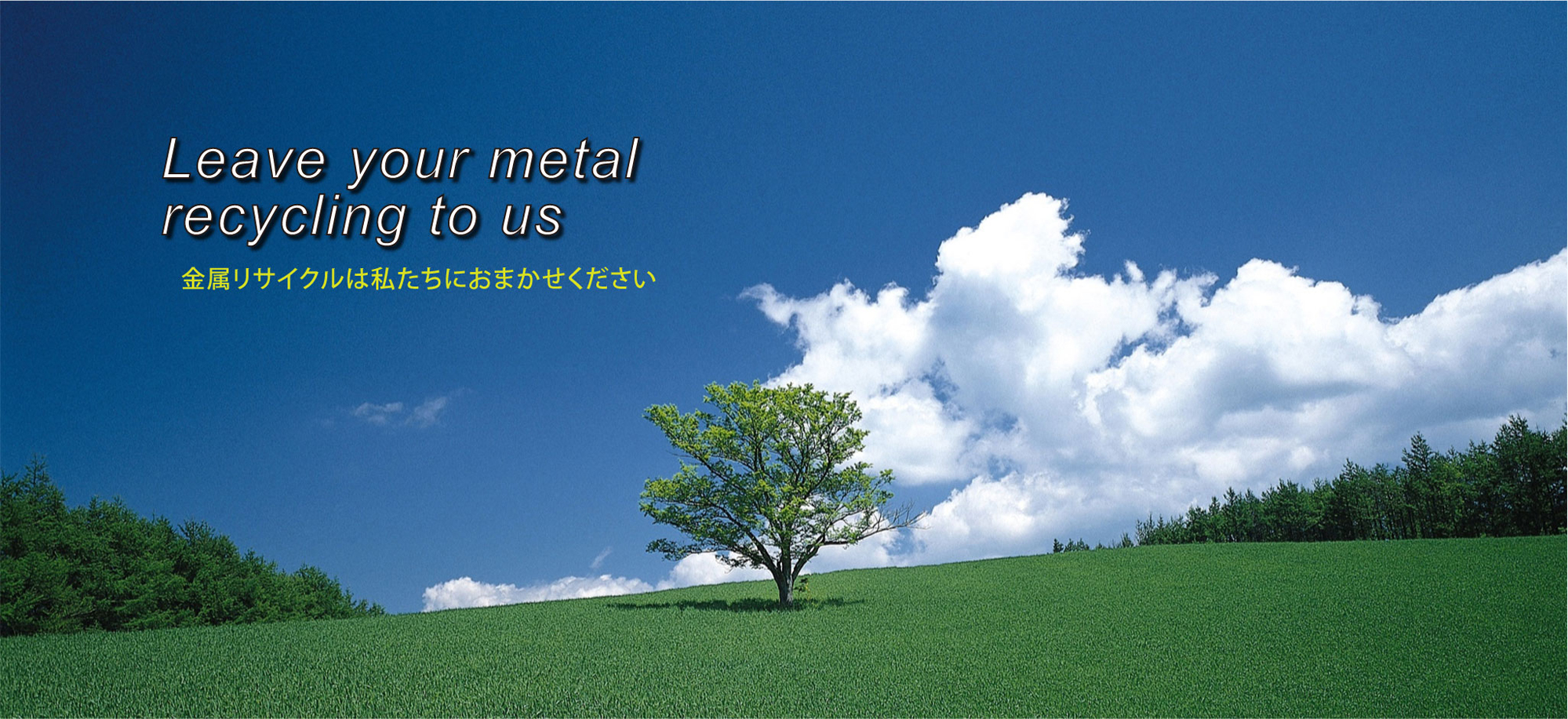 地球環境のために